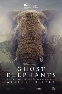« Ghost Elephants » : le nouveau film de Werner Herzog explore la quête de la vie à travers le Kalahari