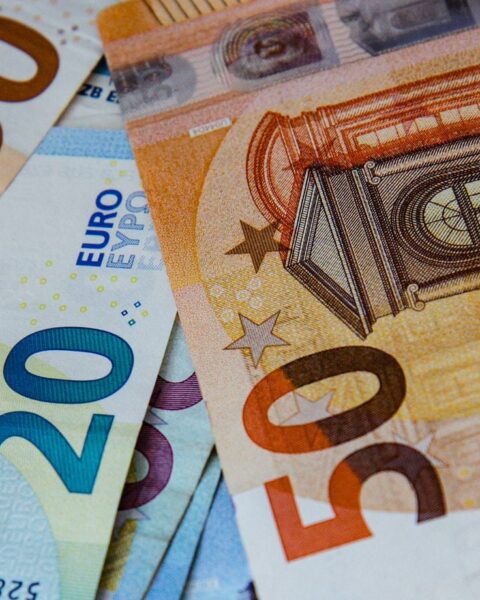 La Banque de France s'engage pour des billets de banque plus écologiques avec du coton bio