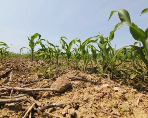La Bretagne face aux tensions : un vote sur l'interdiction des pesticides suspendu pour discussions supplémentaires