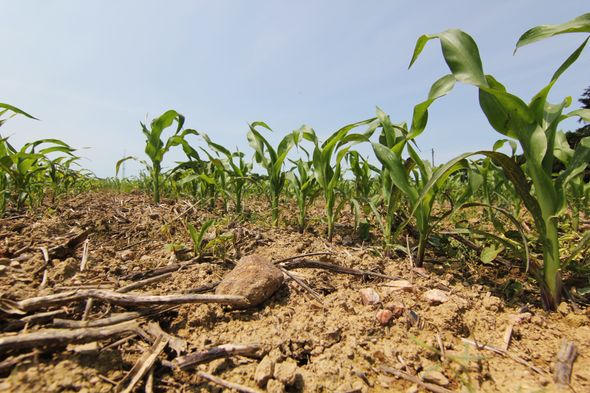 La Bretagne face aux tensions : un vote sur l'interdiction des pesticides suspendu pour discussions supplémentaires