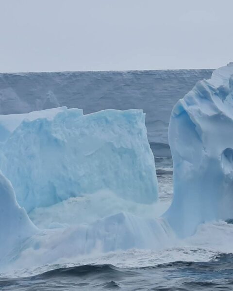 La France et d'autres pays expriment leur inquiétude face à l'absence de mentions du changement climatique dans le Traité de l'Antarctique