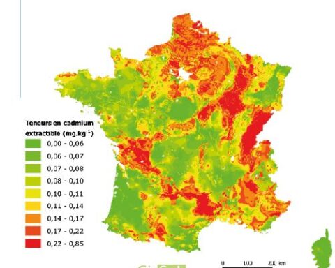 La pollution des sols en France : cadmium, pesticides et PFAS menacent la santé environnementale