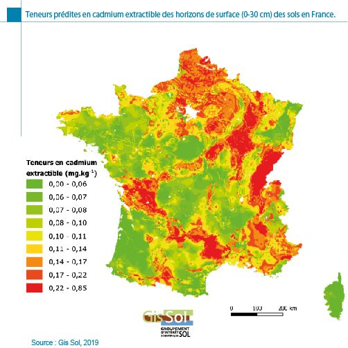 La pollution des sols en France : cadmium, pesticides et PFAS menacent la santé environnementale
