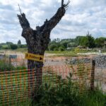 Le Conseil d'État valide l'autorisation environnementale de l'autoroute A69 à Toulouse et Castres