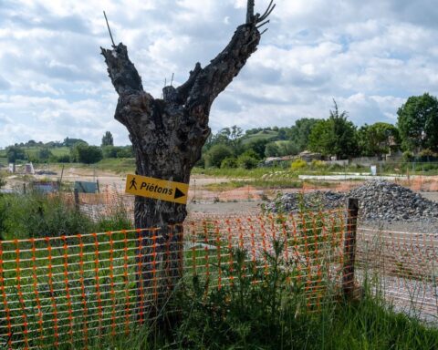 Le Conseil d'État valide l'autorisation environnementale de l'autoroute A69 à Toulouse et Castres