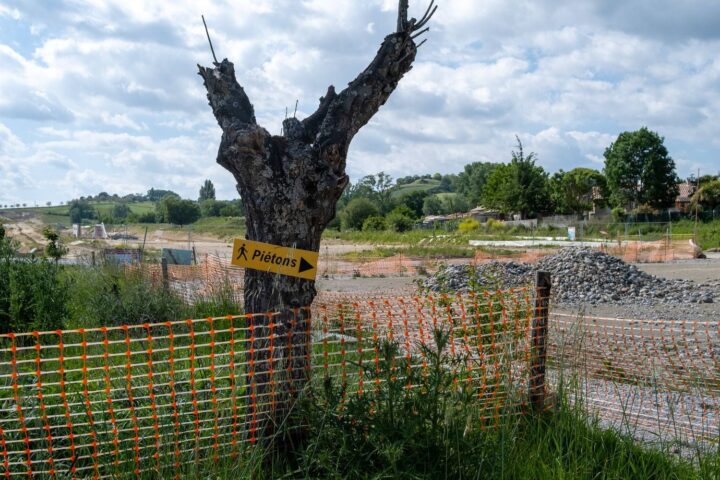 Le Conseil d'État valide l'autorisation environnementale de l'autoroute A69 à Toulouse et Castres