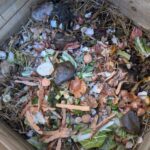 Le tri des déchets alimentaires pourrait-il entraîner moins de collectes en porte-à-porte en France ?