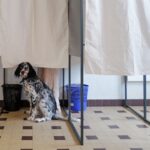 Les sondeurs critiques face à l'idée d'utiliser les sondages pour départager les candidats à la présidentielle de 2027