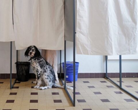 Les sondeurs critiques face à l'idée d'utiliser les sondages pour départager les candidats à la présidentielle de 2027