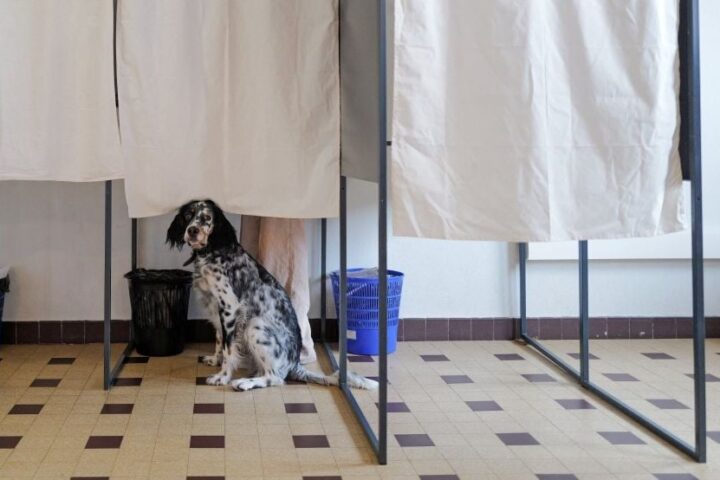 Les sondeurs critiques face à l'idée d'utiliser les sondages pour départager les candidats à la présidentielle de 2027