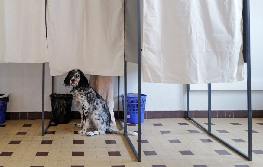 Les sondeurs critiques face à l'idée d'utiliser les sondages pour départager les candidats à la présidentielle de 2027
