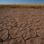 L'OMM prévoit un retour d'El Niño cet été avec une probabilité de 80 %