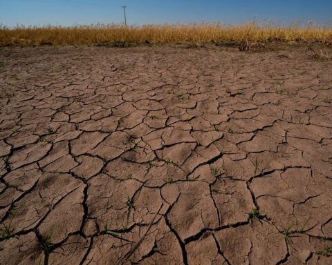 L'OMM prévoit un retour d'El Niño cet été avec une probabilité de 80 %