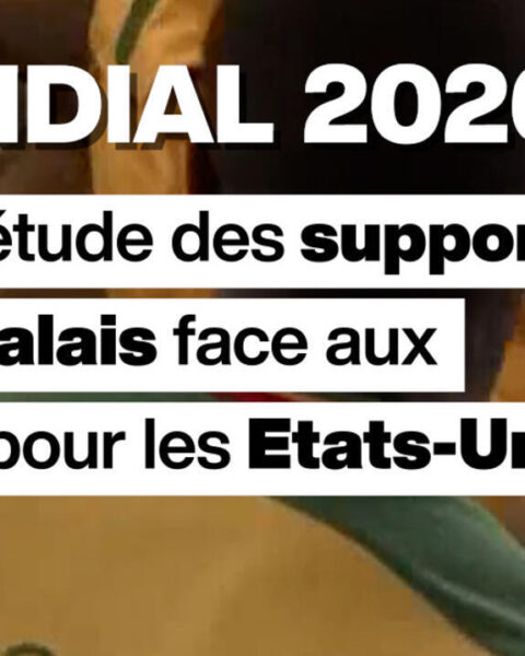 Mondial de football 2026 : les Bleus préoccupés par les conditions d'obtention des visas pour les Etats-Unis