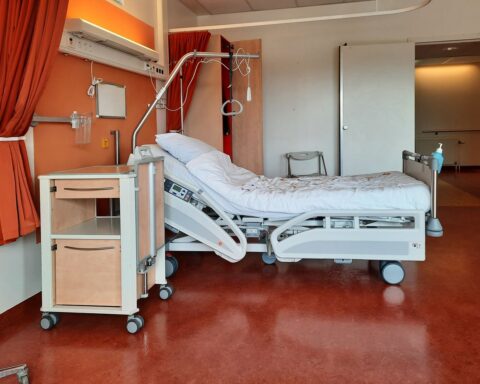 Orsan niveau 3 : Le système de santé français face à la crise liée à la canicule