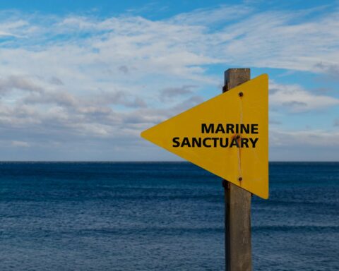 Trump réautorise la pêche commerciale dans des sanctuaires marins du Pacifique