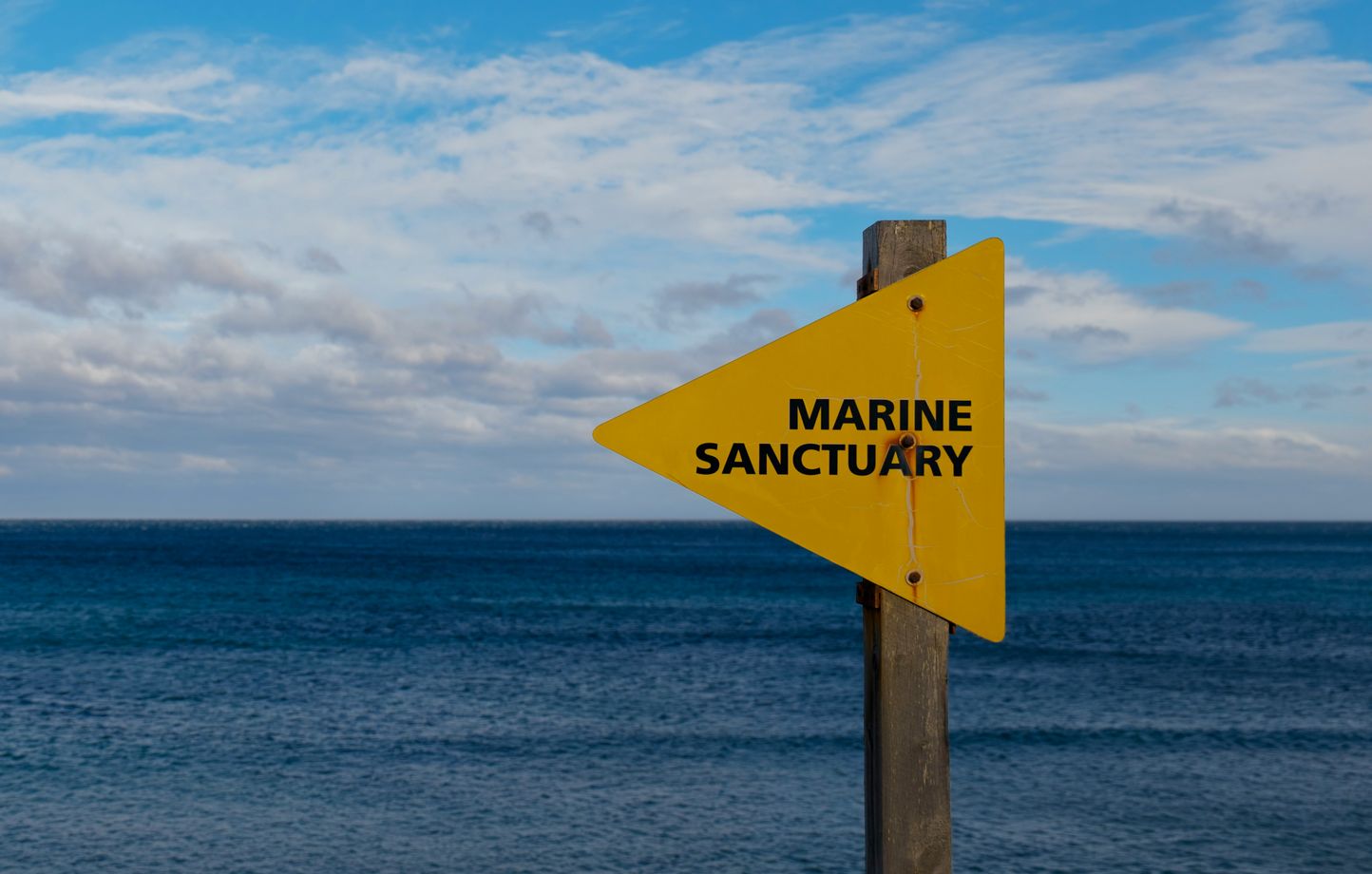 Trump réautorise la pêche commerciale dans des sanctuaires marins du Pacifique