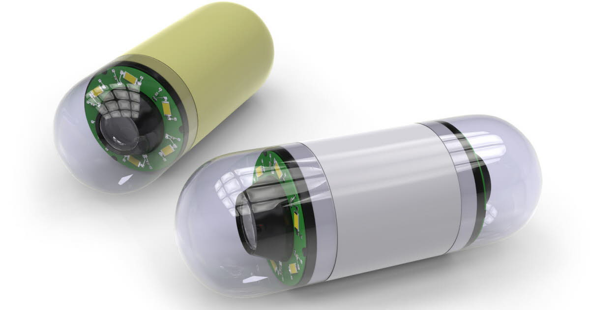 Un mini-robot inspiré des manchots pourrait révolutionner l'endoscopie gastrique