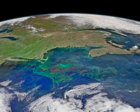 Une bulle froide dans l'Atlantique pourrait intensifier les vagues de chaleur en Europe