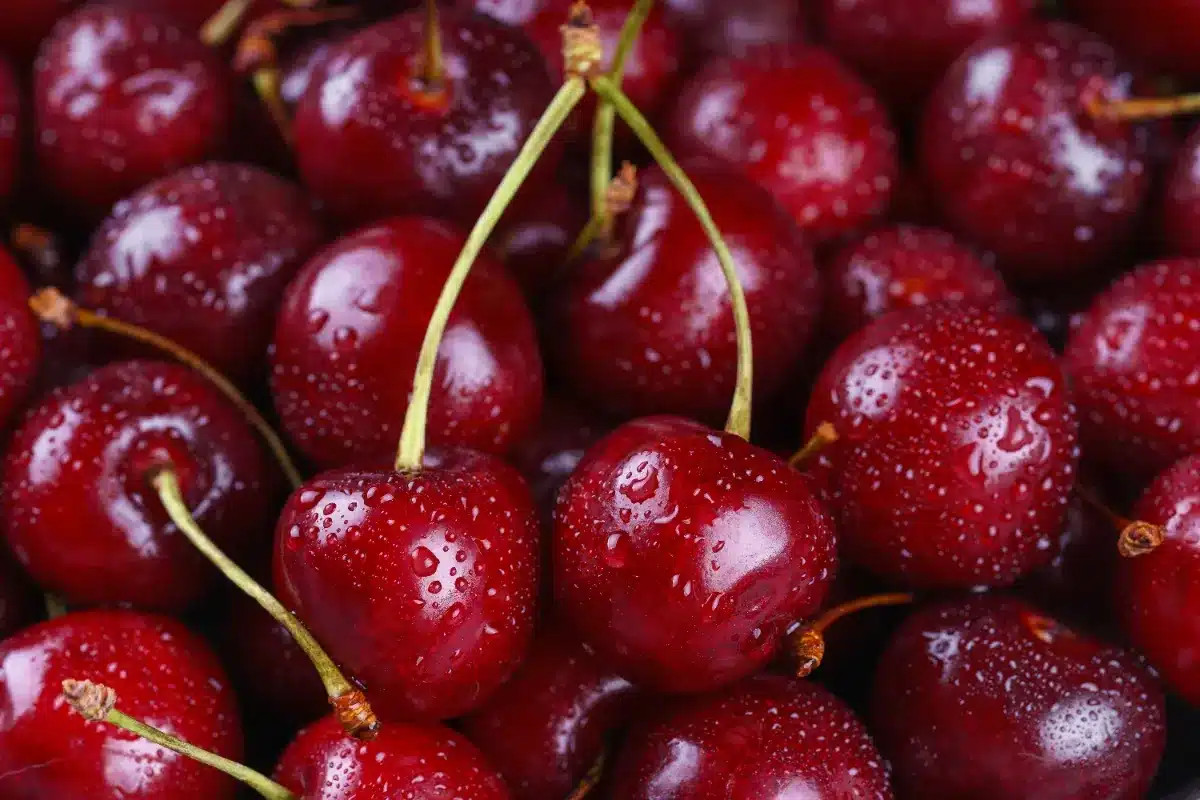 « Urgence : 2 000 producteurs de cerises appellent les Français à agir face à l’impossibilité de stockage »