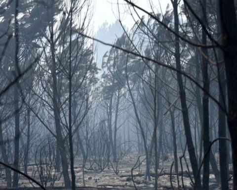 35.000 personnes évacuées en Gironde en raison d'incendies destructeurs