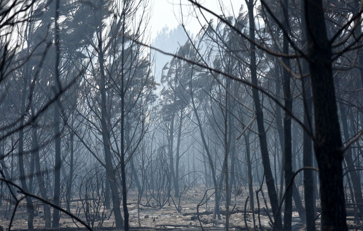 35.000 personnes évacuées en Gironde en raison d'incendies destructeurs