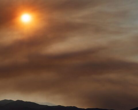 72 départements de France placés en alerte orange en raison de la canicule