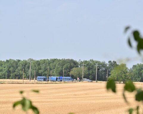 Affaire Jubillar : les recherches pour retrouver d'autres ossements s'étendront sur 60 hectares