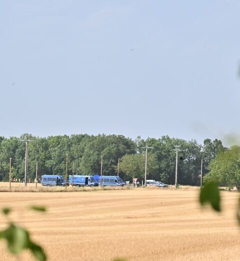 Affaire Jubillar : les recherches pour retrouver d'autres ossements s'étendront sur 60 hectares