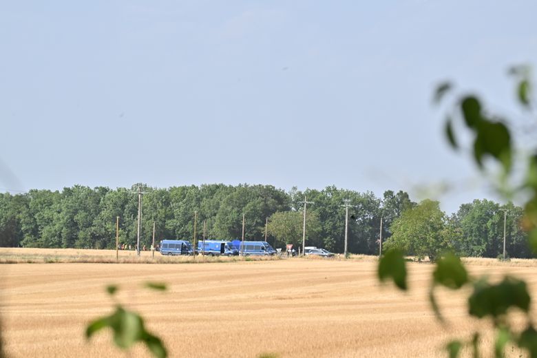 Affaire Jubillar : les recherches pour retrouver d'autres ossements s'étendront sur 60 hectares