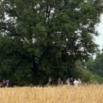 Analyse des ossements découverts dans le Tarn après les aveux de Cédric Jubillar