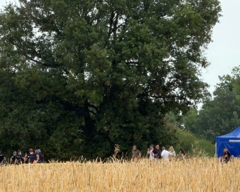 Analyse des ossements découverts dans le Tarn après les aveux de Cédric Jubillar