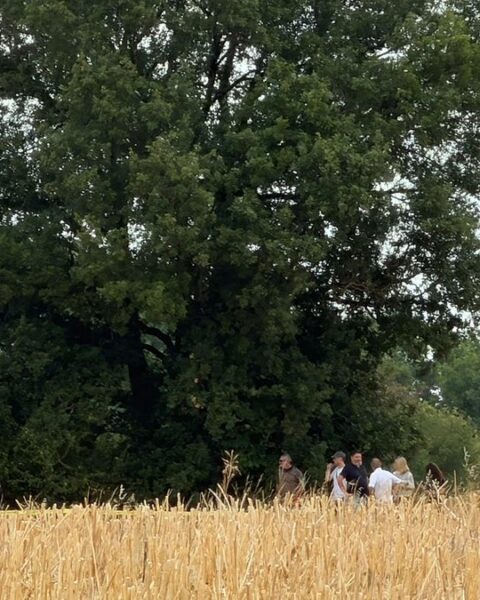 Analyse des ossements découverts dans le Tarn après les aveux de Cédric Jubillar