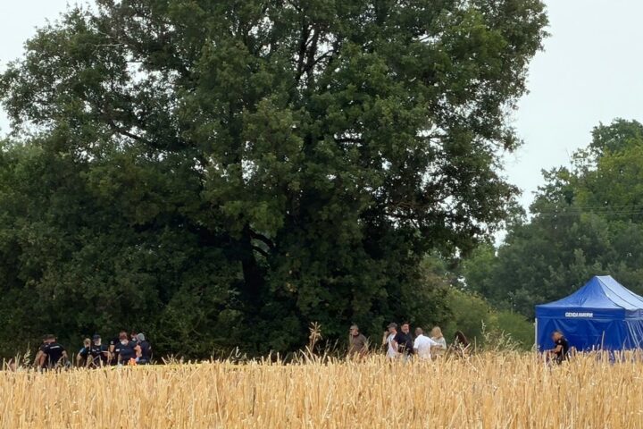 Analyse des ossements découverts dans le Tarn après les aveux de Cédric Jubillar