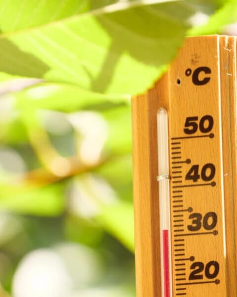 Canicule : 16 départements placés sous vigilance orange