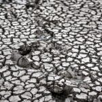 Canicule en France : la sécheresse des sols atteint un niveau jamais observé depuis 1959