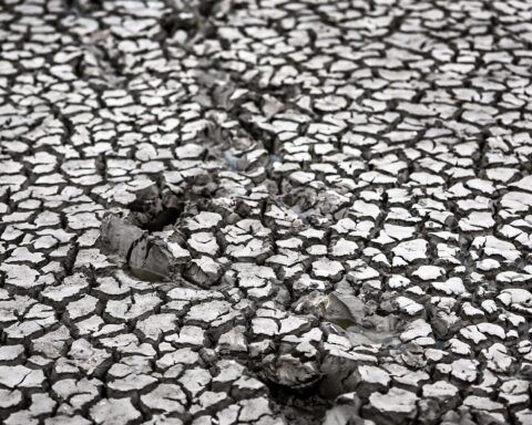 Canicule en France : la sécheresse des sols atteint un niveau jamais observé depuis 1959