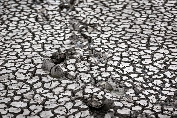 Canicule en France : la sécheresse des sols atteint un niveau jamais observé depuis 1959