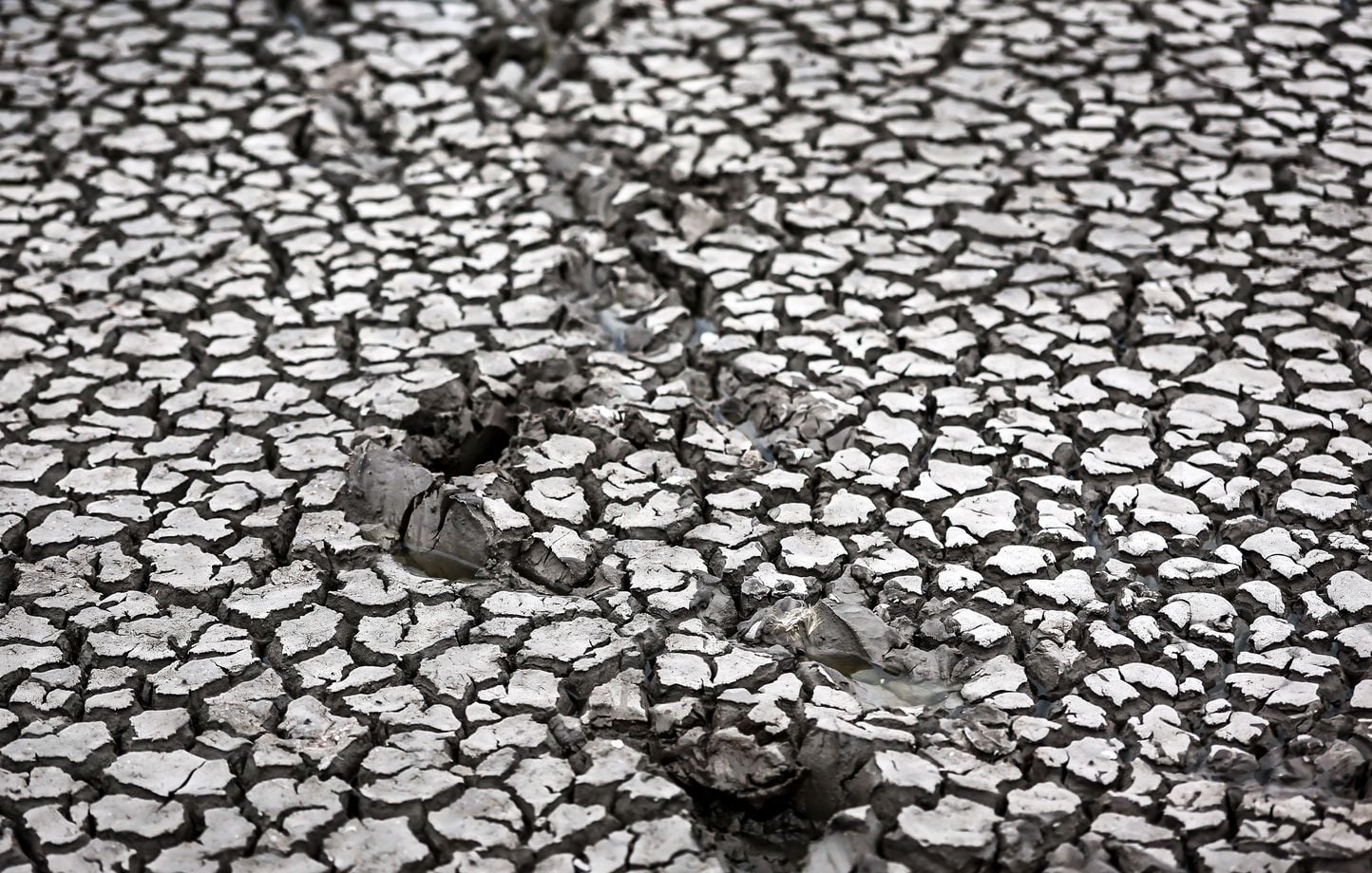 Canicule en France : la sécheresse des sols atteint un niveau jamais observé depuis 1959