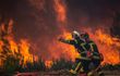 Canicule et incendies : 26 départements en vigilance rouge et 58 en vigilance orange