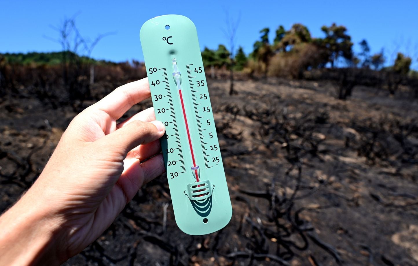 Canicule : la chaleur s'intensifie dans le sud-est de la France avant un nouvel épisode dimanche