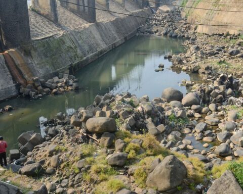 Canicule : la sécheresse provoque un niveau critique des petits cours d’eau en France