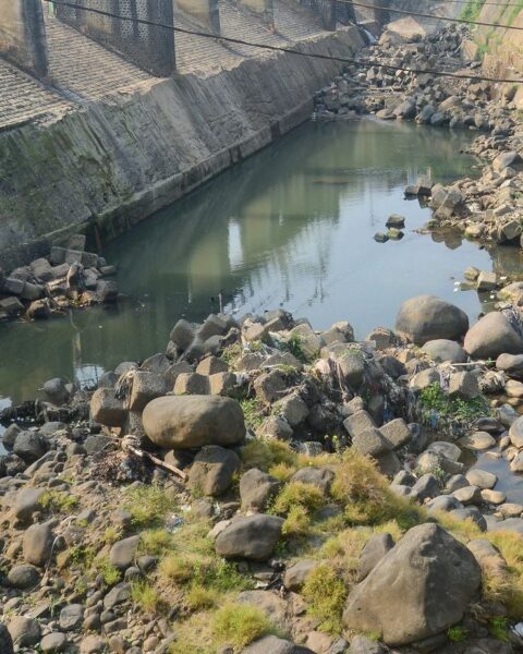 Canicule : la sécheresse provoque un niveau critique des petits cours d’eau en France