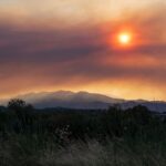 Canicule : plus de 90 scientifiques appellent à une loi d’urgence climatique en France