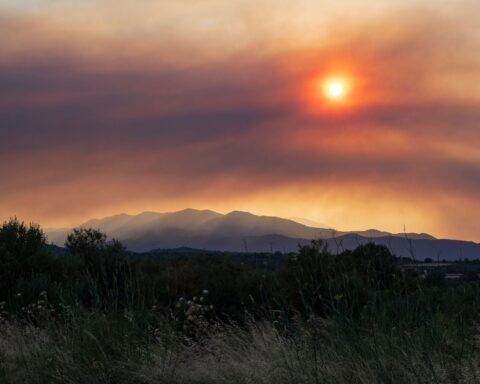 Canicule : plus de 90 scientifiques appellent à une loi d’urgence climatique en France