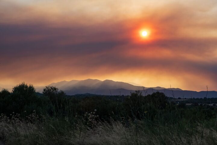 Canicule : plus de 90 scientifiques appellent à une loi d’urgence climatique en France