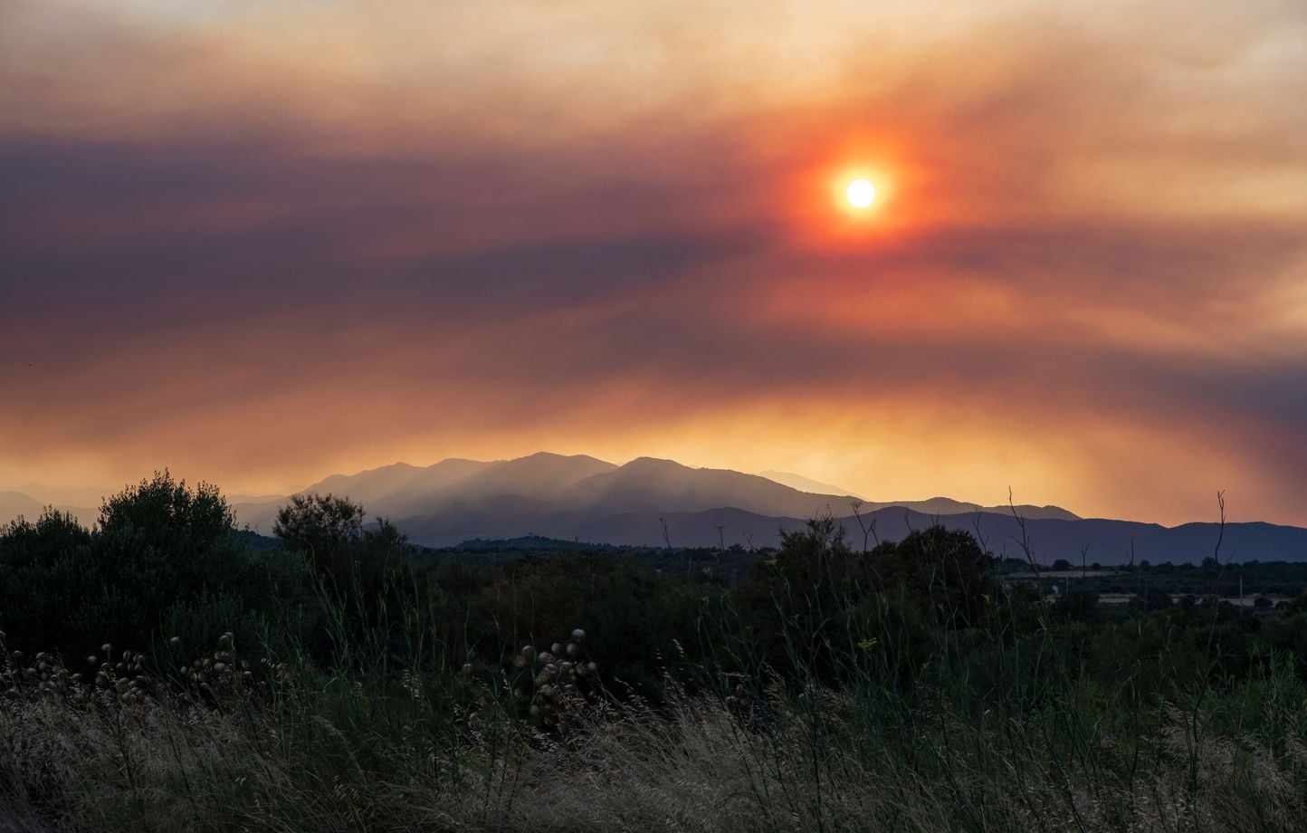Canicule : plus de 90 scientifiques appellent à une loi d’urgence climatique en France