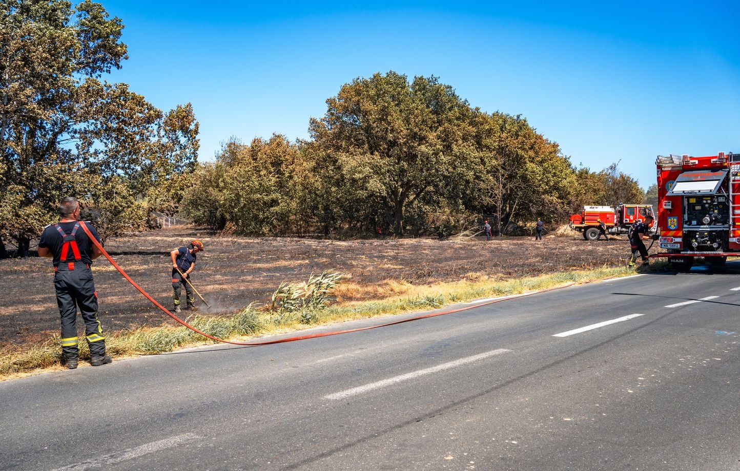 Chaleur extrême : 67 départements français en vigilance orange, risques accrus d'incendies