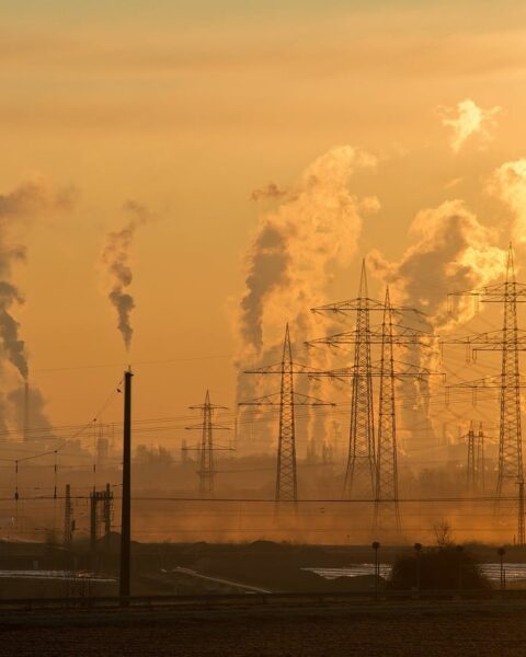 Changement climatique : Le Haut Conseil pour le Climat critique l'insuffisance des politiques actuelles