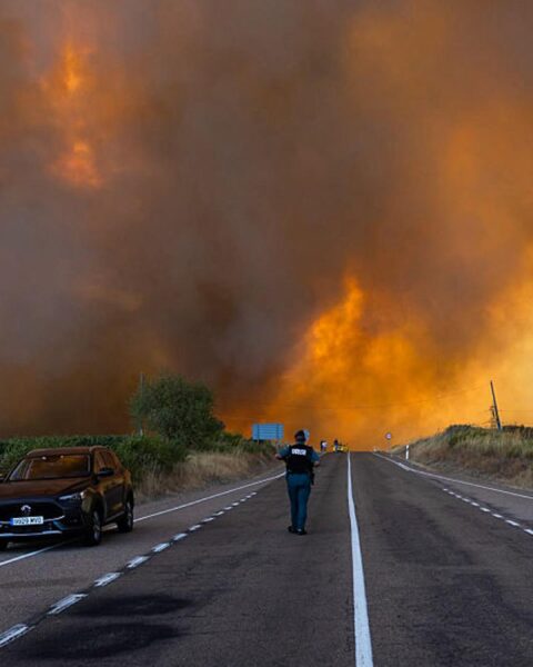 Comment aider les victimes des incendies meurtriers en France et en Espagne